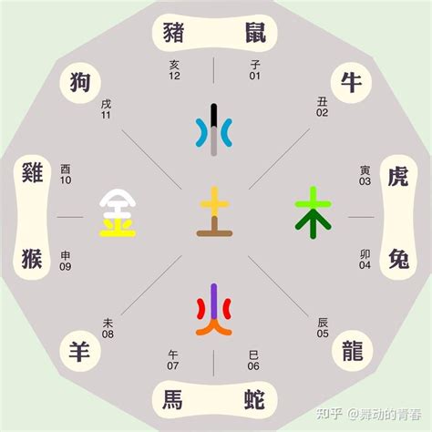 巳的五行|巳